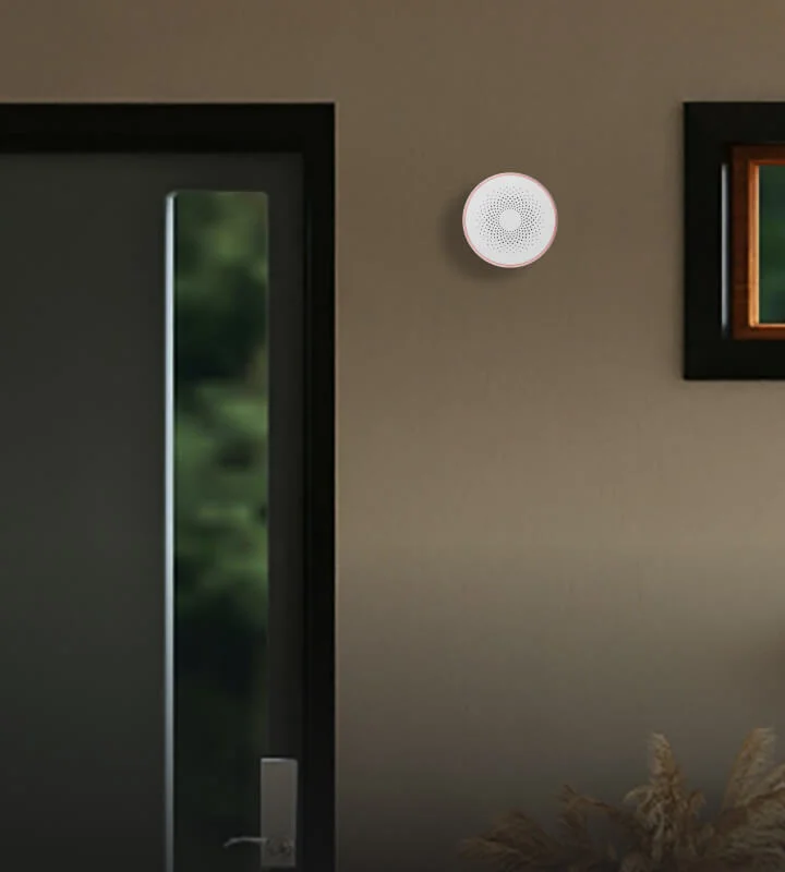 Sirena de alarma Roombanker