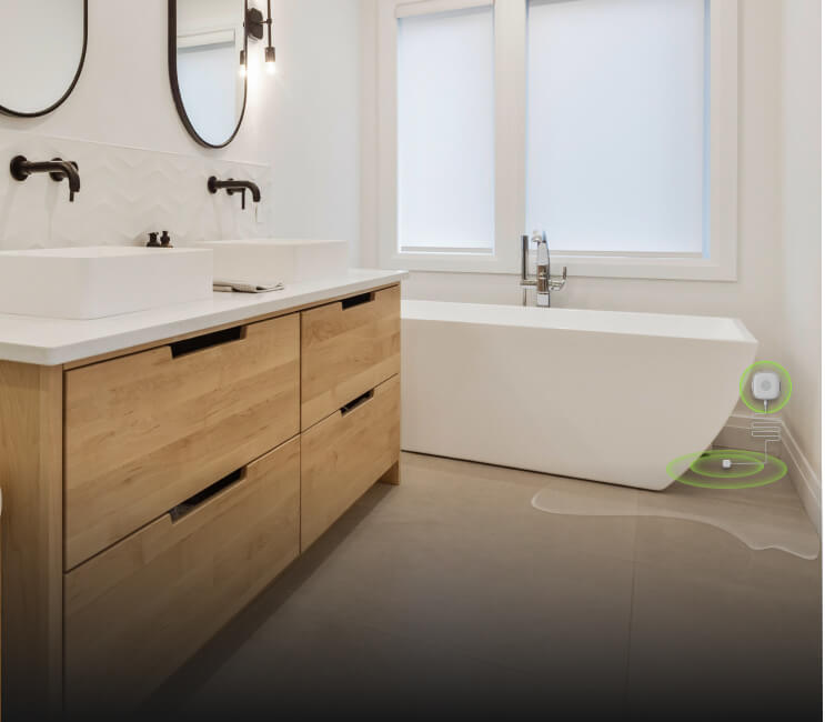 Indoor Enviormental Safety
