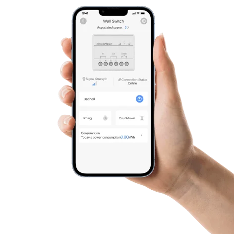 Detalle del interruptor de pared de la aplicación rblink