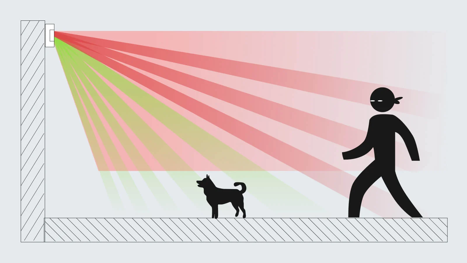 une alarme anti-cambriolage adaptée aux animaux